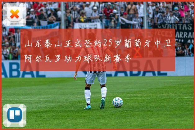 山东泰山正式签约25岁葡萄牙中卫阿尔瓦罗助力球队新赛季