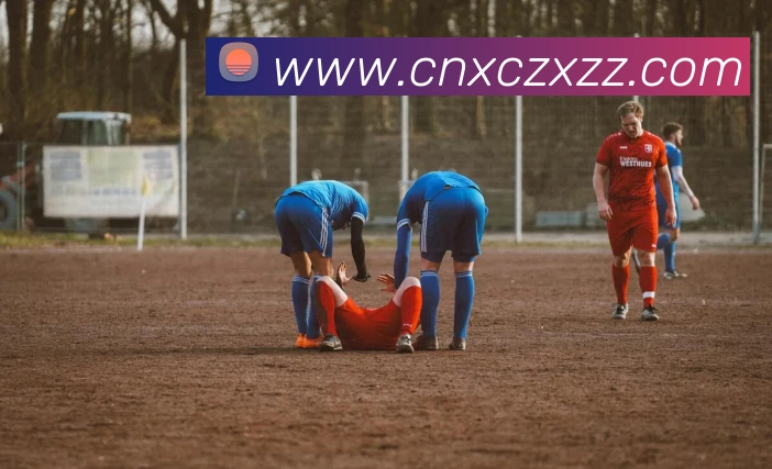 多媒体互动体验